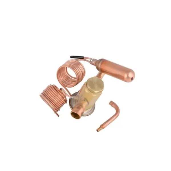 Armstrong 18M90 Valve-expansion