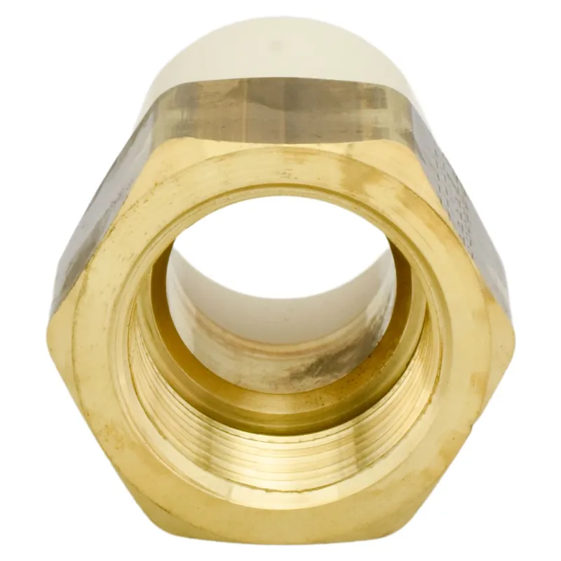 Charlotte Pipe CTS-02105L-1000 1 CPVC Adapter (Female) Slip x FIP