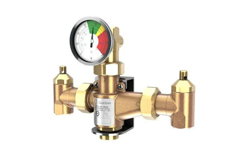 Guardian Equipment G6020 1/2 in. FNPT x Standard Thermostat Mixing Valve GG6020