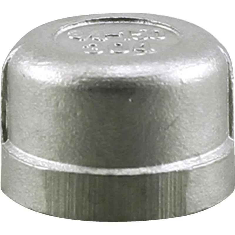 Plumbeeze U2-SSCA-10 1 In. FIP Stainless Steel Cap