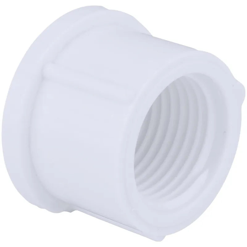 Charlotte Pipe PVC021172200HA 3 In. FIP Schedule 40 Threaded PVC Cap