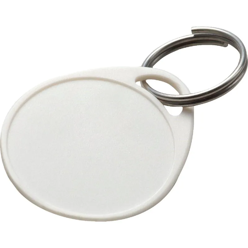 Lucky Line 25129 Label-It Plastic Tag Key Tag (25-Pack)