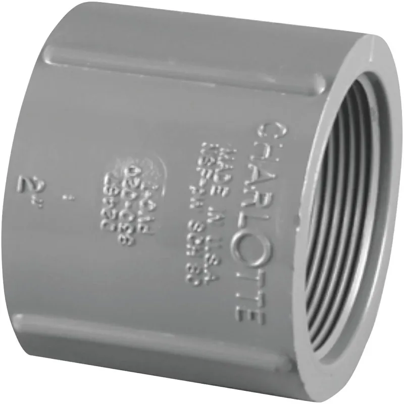 Charlotte Pipe PVC081021600HA PVC Coupling 1-1/4 In. FIP x FIP