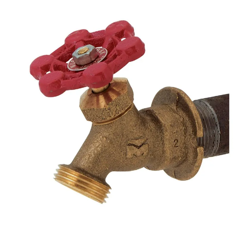 ProLine 108-004 Sillcock 3/4 In. MHT 3/4 In. FIPS Replacement MPN