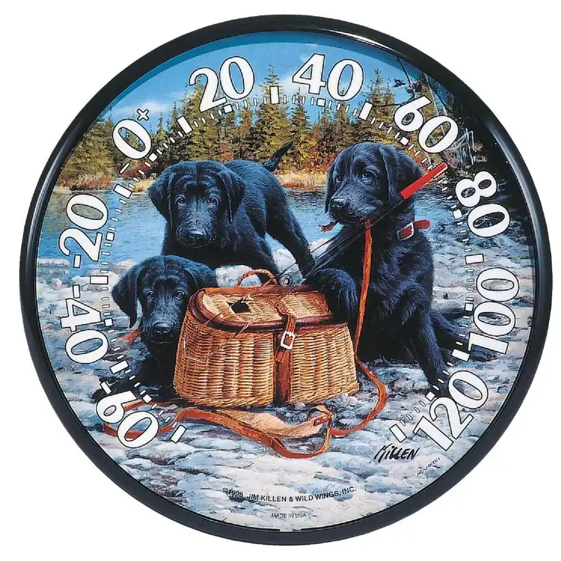 Acurite 01678 12-1/2 Fahrenheit -60 To 120 Outdoor Wall Thermometer