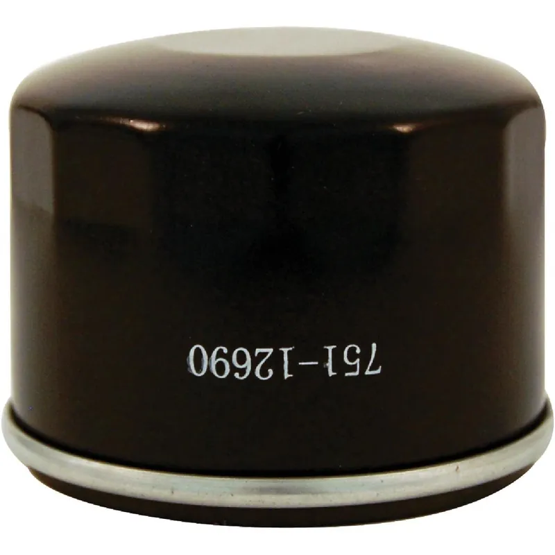 Troy-Bilt 490-201-Y010 Powermore Oil Filter