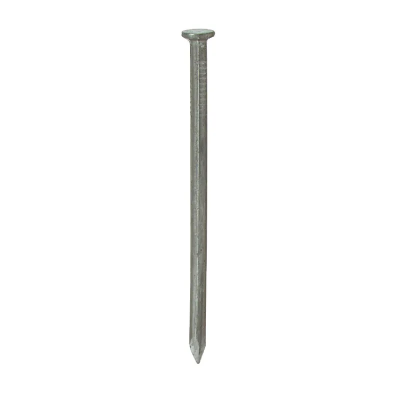 Grip-Rite 8C30BK 8d x 2-1/2 In. 10-1/4 ga Bright Common Nails (3030 Ct., 30 Lb.)