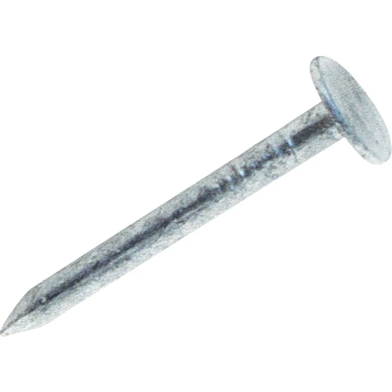 Grip-Rite 114HGRFGBK Hot Galvanized Roofing Nails 1-1/4 In. 11 ga 6300 Ct.