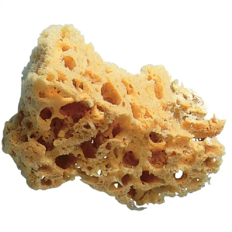 Trimaco 10136 Painting Sponge
