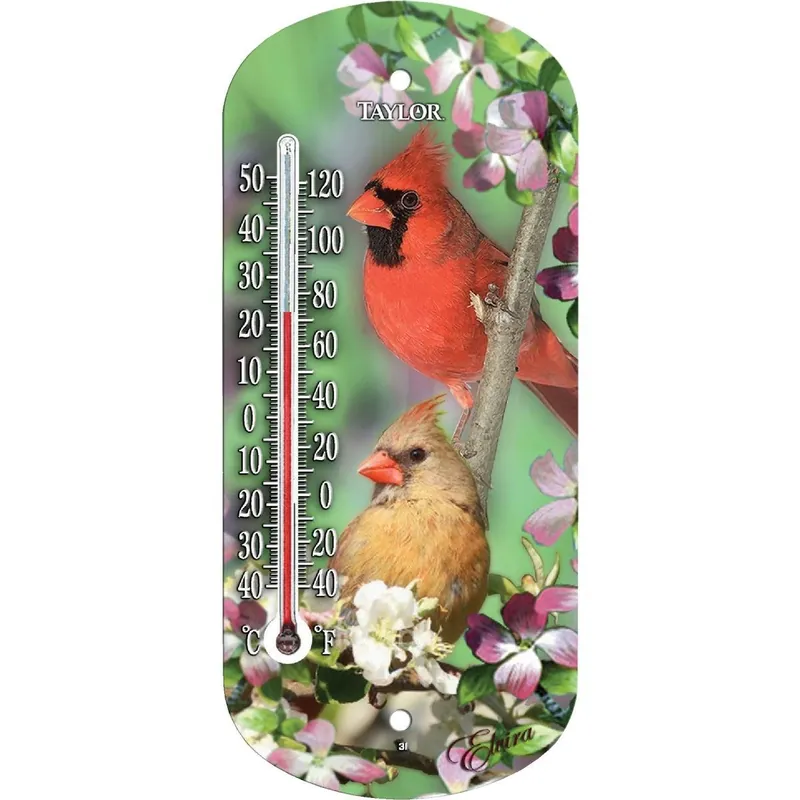 Taylor 5204 Outdoor Window Thermometer