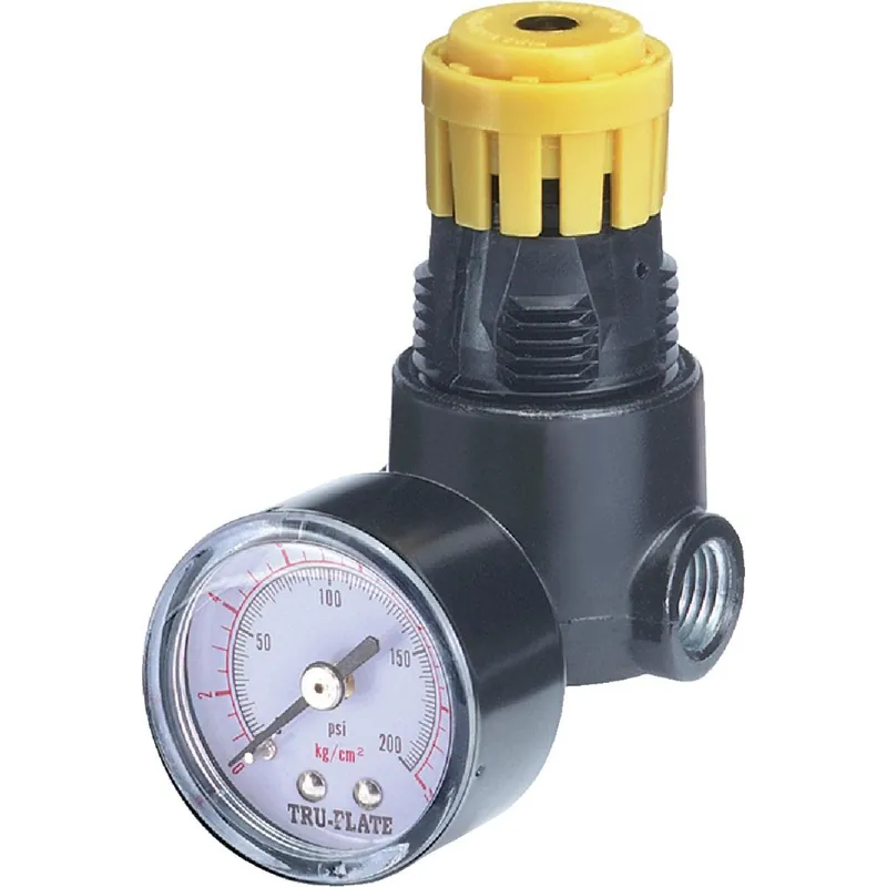 Tru-Flate 24-444 1/4 In. NPT 250 PSI Mini Pressure Regulator