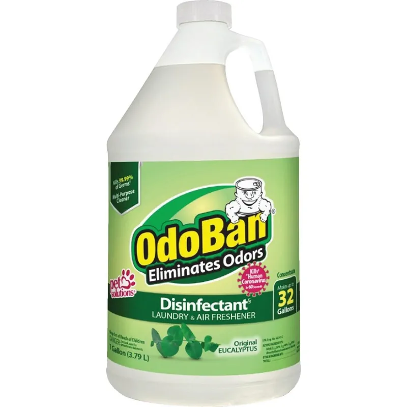 OdoBan 911061-G4 Eucalyptus Washable Surface Sanitizer & Deodorizer Concentrate