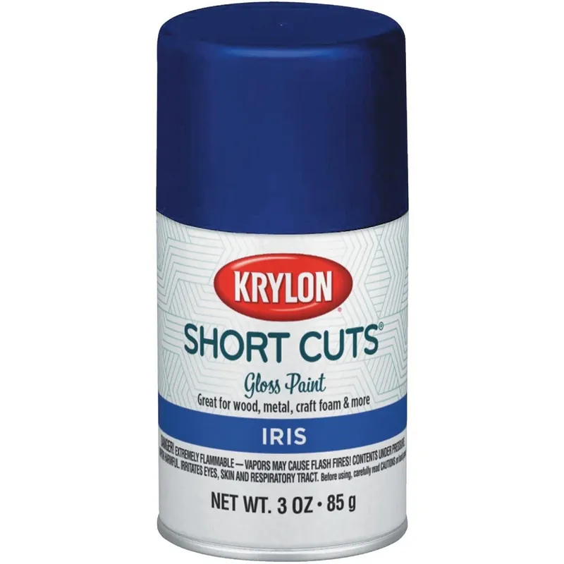 Krylon SCS-074 High-Gloss Enamel Spray Paint Iris