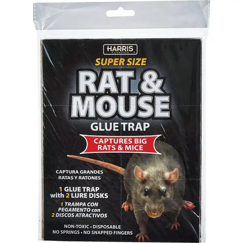 Harris BLKRAT-1 Glue Rat & Mouse Trap