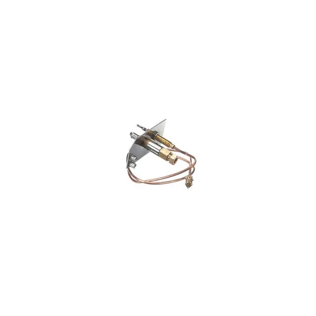 Pilot Assembly & Thermocouple for AllPoints 8125010