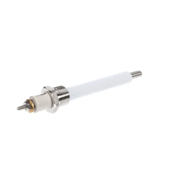 LOW WATER PROBE for Legion 420064