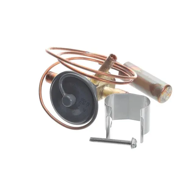 R410A Expansion Valve for AllPoints 8088299