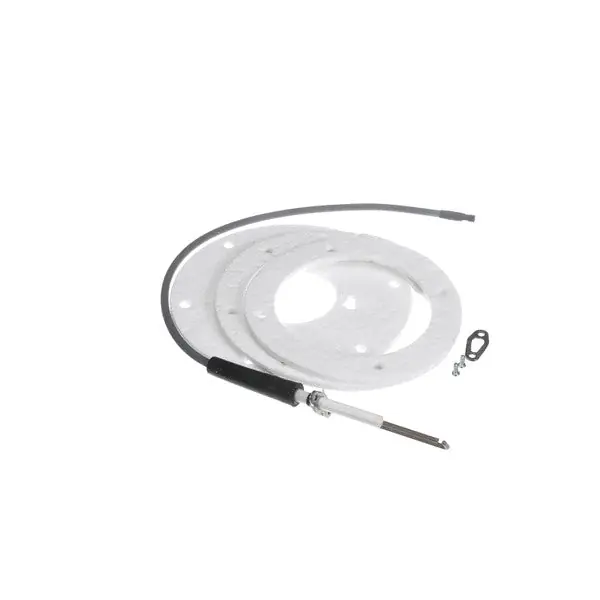 SPARK IGNITER ASSEMBLY for AllPoints 8106045