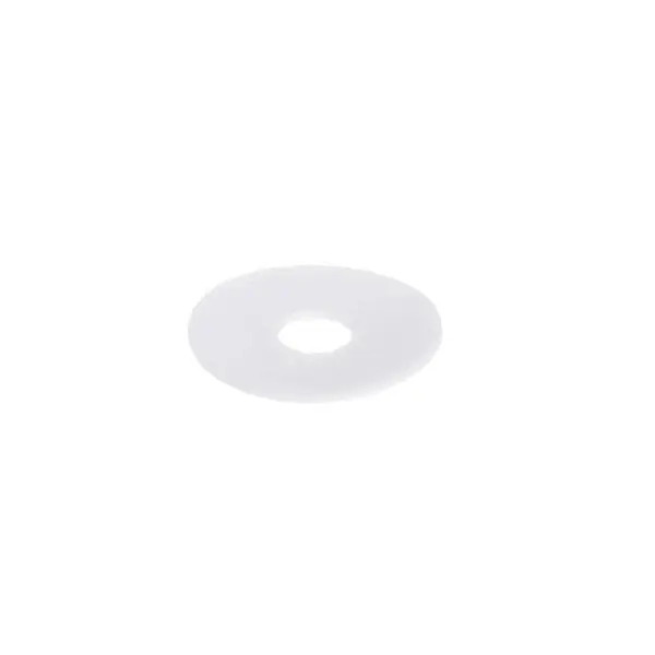Washer 1/4 Flat S/S WSH266 for BKI (Barbeque King) 8039910