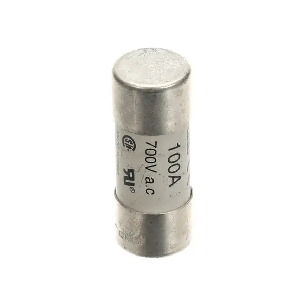 FUSE 700V 100A 22X58 0CA148 for Electrolux ELX0CA148